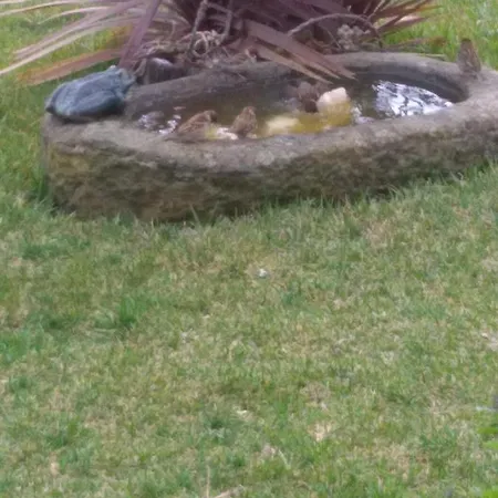 Cantinho 3* Sertã