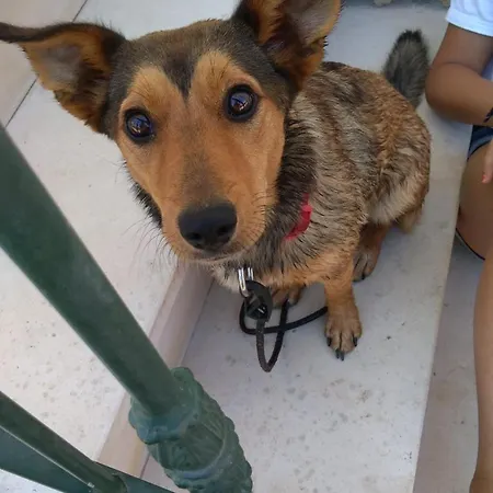 Cantinho Penzion Sertã